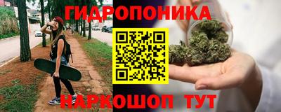 ALPHA PVP Заволжье